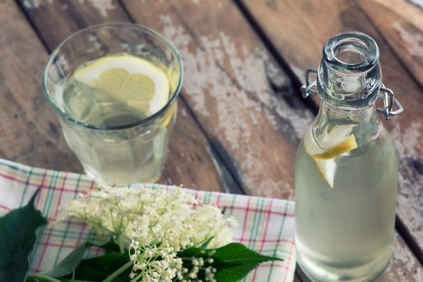 Limonade BIO Mascaret Citron